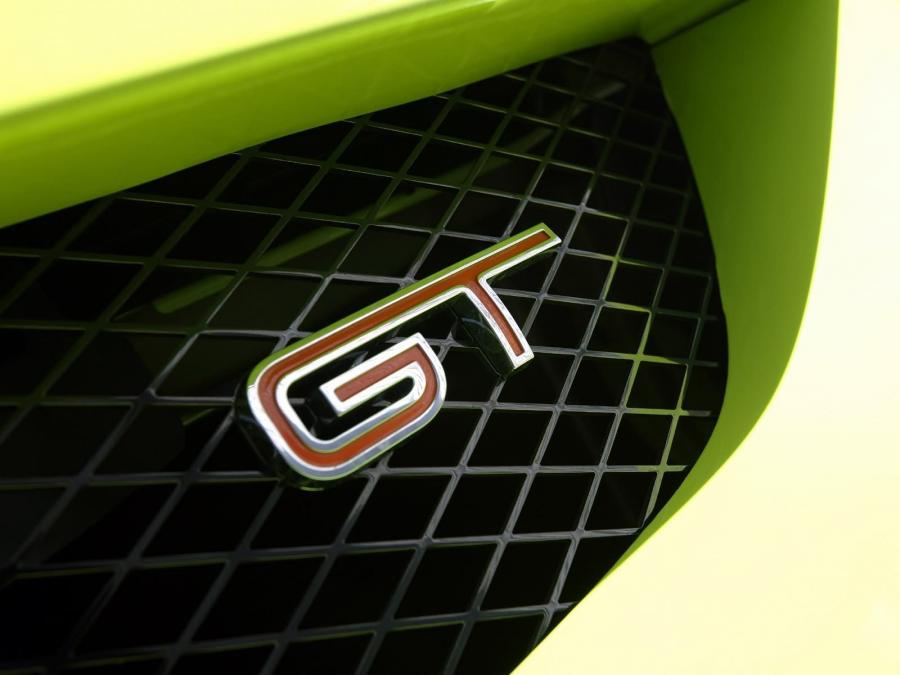 Логотип FPV BF GT 2005 года  (фото 26 из 38)